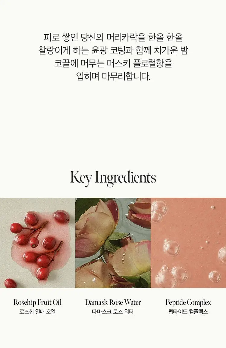[손상모 케어] 아닐로 로지나잇 리페어 3종세트(샴푸+앰플트리트먼트+에센스) 상세페이지 40